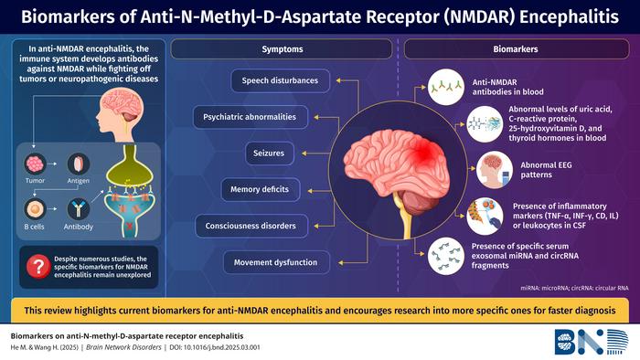 Overview graphic of clinical features and biomarkers in anti-NMDAR encephalitis