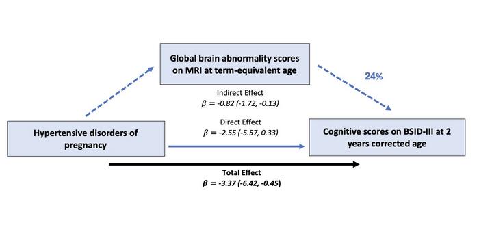 Low Res Hypertension and the infant brain