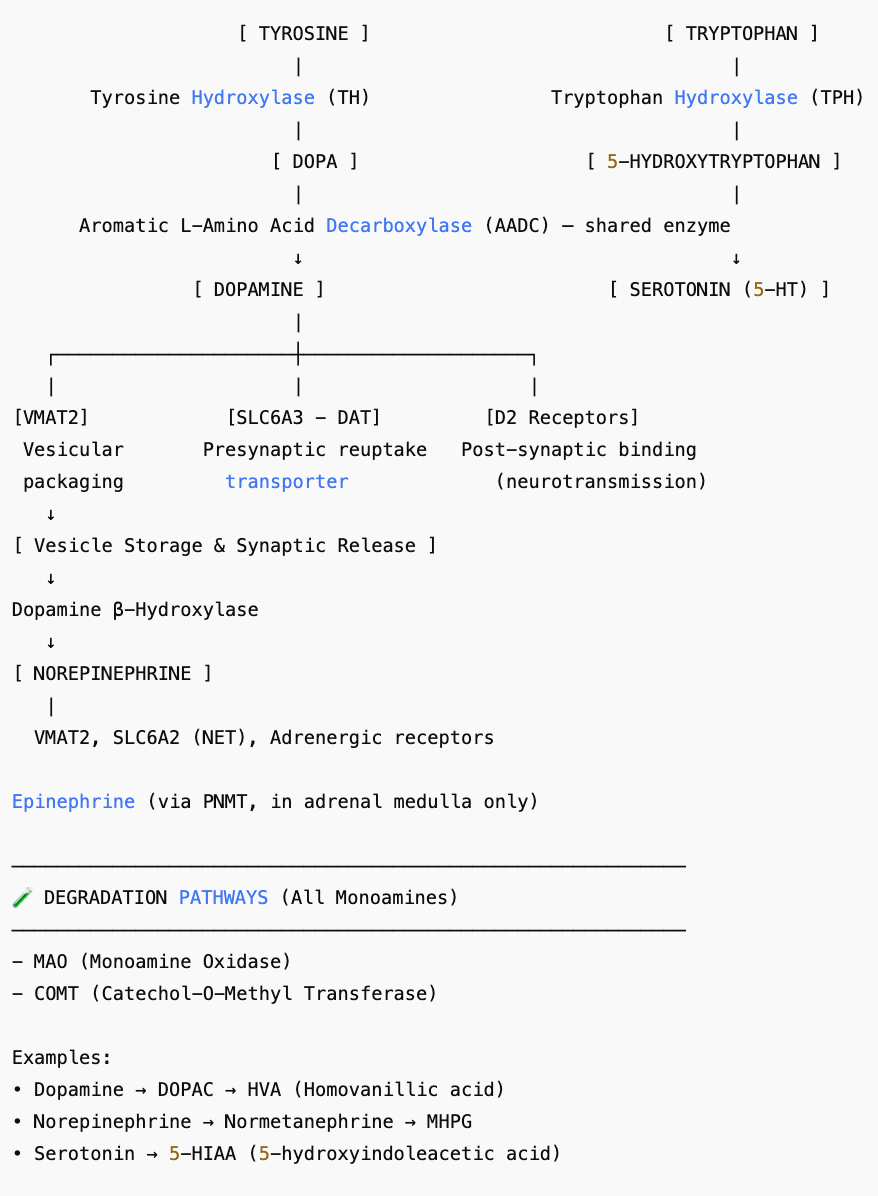 monoamine java 1