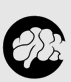 CNKE Team's Avatar